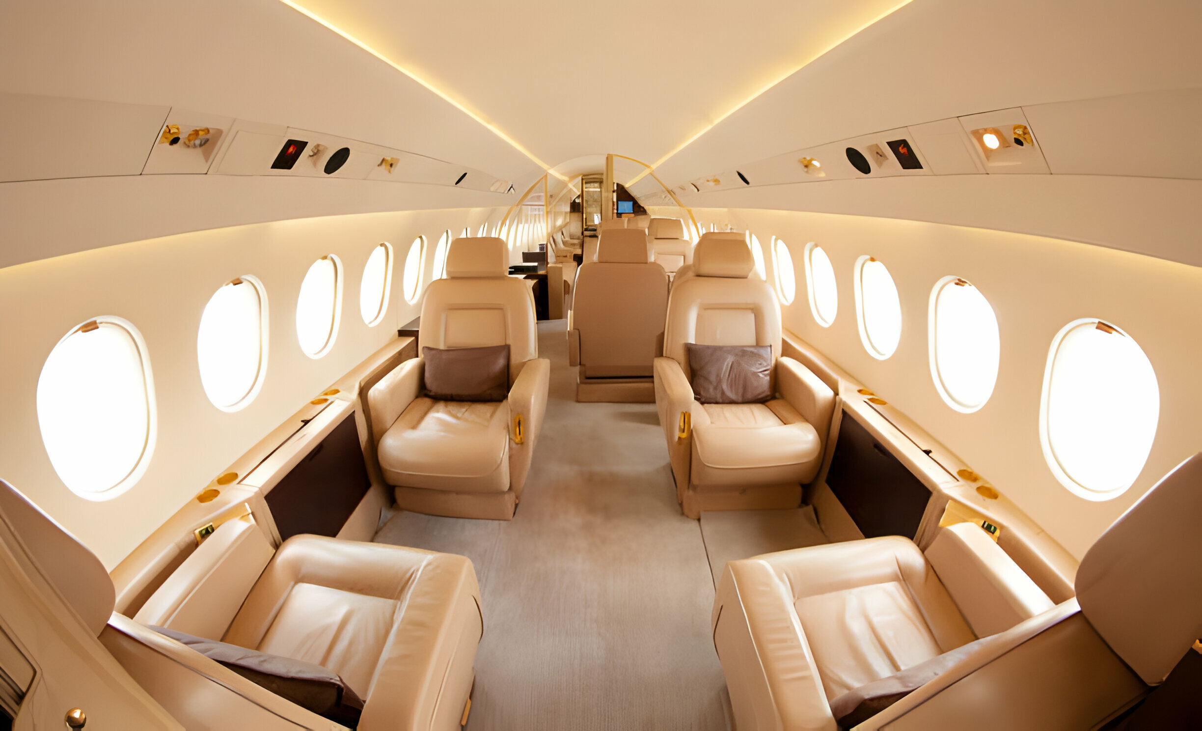 8-10 seater private jet Private jet charter service company called FLY AVCARE