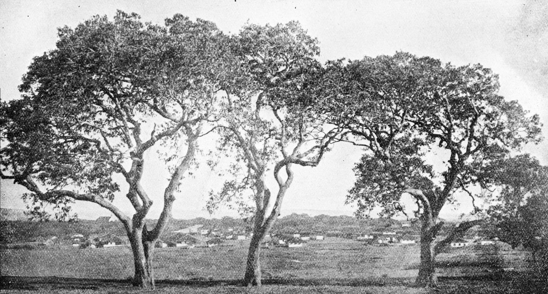 Private jet to and from Belgaum