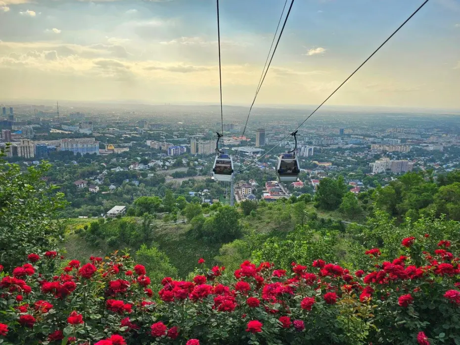 Cable cars rising above Almaty cityscape with red roses in the foreground on a clear day