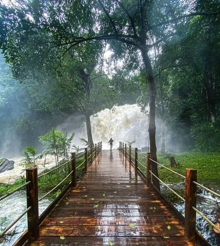 Wooden bridge leading to a powerful waterfall surrounded by lush green forest in Coorg Karnataka