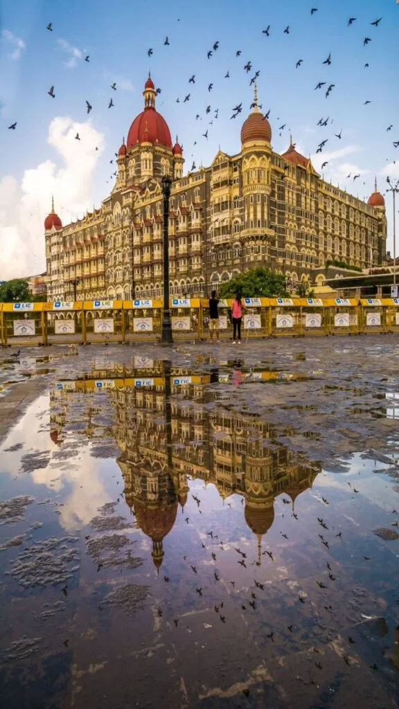 Taj Mahal Palace Hotel Mumbai reflected in rainwater with pigeons flying in the sky